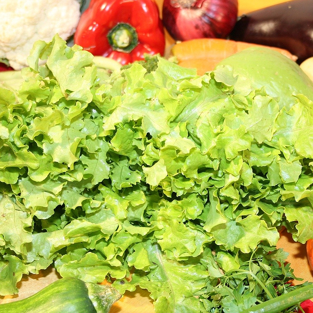 Verduras, legumes e frutas devem ser higienizados e secos para aumentar a durabilidade